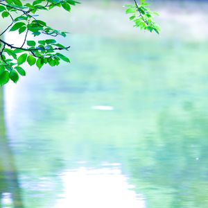 武蔵野市でデイサービスを行う当社は外出支援をいたします