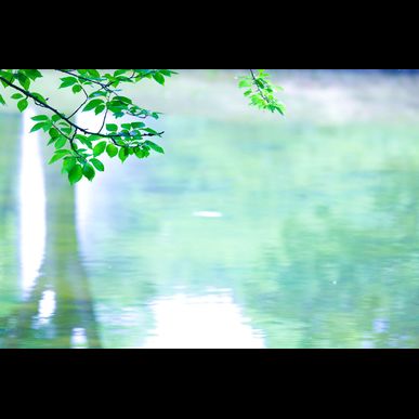 武蔵野市でデイサービスを行う当社は外出支援をいたします