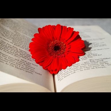 武蔵野市在住の方、老後の楽しみ見つけてみませんか？